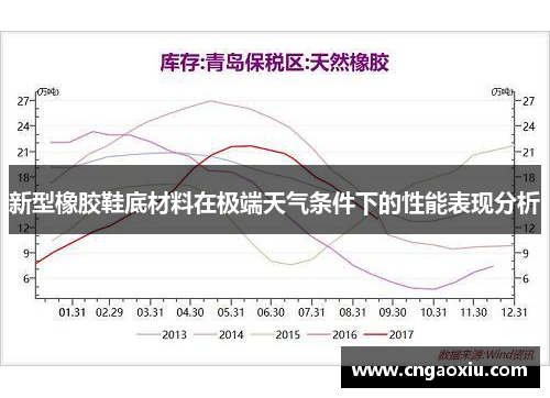 新型橡胶鞋底材料在极端天气条件下的性能表现分析